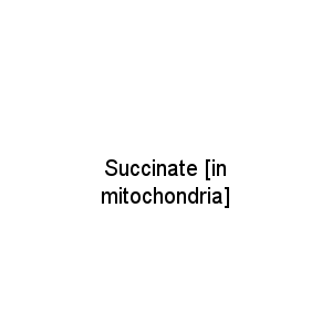Succinate [in mitochondria]
